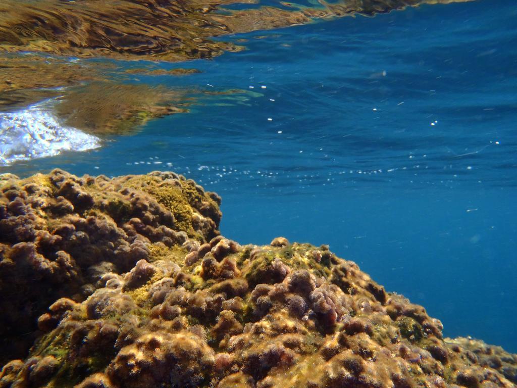 Le Casette Sul Mare Capo Vaticano Exteriér fotografie