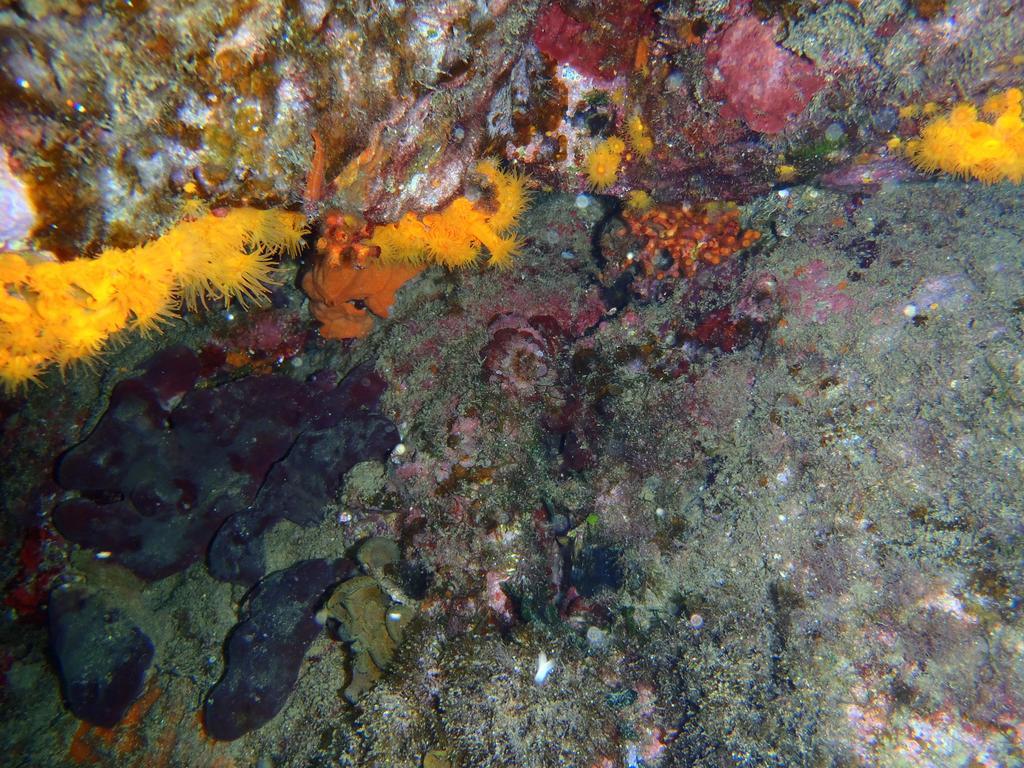 Le Casette Sul Mare Capo Vaticano Exteriér fotografie